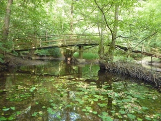 ancien pont des Scouts